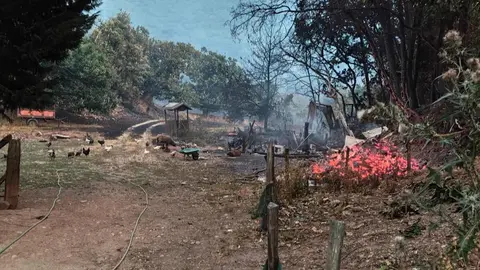 Las Médulas, Patrimonio de la Humanidad, devastadas por el fuego: centenares de castaños centenarios arrasados. El incendio arrasa el emblemático paraje y deja tras de sí un paisaje desolador que enluta a la comunidad local. Fotos de Diputación de León
