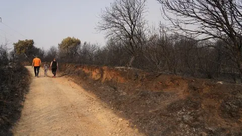 Las Médulas, reconocidas internacionalmente como Patrimonio de la Humanidad, han sucumbido al voraz incendio que desde hace días asola la provincia de León. El fuego no ha dejado rincón sin quemar, arrasando el característico paisaje de esta antigua mina romana y convirtiéndolo en un escenario de ceniza y destrucción. Fotos: DipuLeón