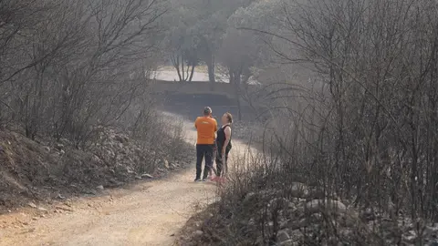 Las Médulas, reconocidas internacionalmente como Patrimonio de la Humanidad, han sucumbido al voraz incendio que desde hace días asola la provincia de León. El fuego no ha dejado rincón sin quemar, arrasando el característico paisaje de esta antigua mina romana y convirtiéndolo en un escenario de ceniza y destrucción. Fotos: DipuLeón