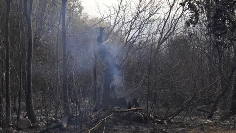 Incendio en Las Médulas (19)