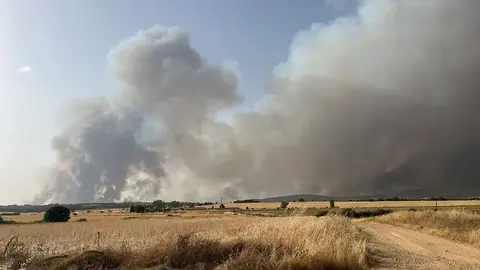 El incendio iniciado en la tarde de este domingo en Molezuelas de la Carballeda, que se mantiene en nivel dos después de haber arrasado ya unas 3.500 hectáreas y de calcinar varias viviendas y una nave en la localidad de Cubo de Benavente, continúa complicándose por las condiciones meteorológicas y además de saltar a la provincia de León ha obligado al desalojo de unos 200 vecinos de Congosta.