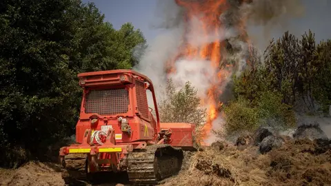 Efectivos de la UME trabajan en el incendio de Molezuelas, en León.