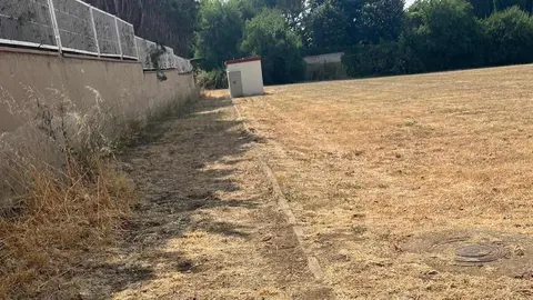 Apenas unos árboles resecos y una extensión de hierba amarillenta conforman hoy el único parque urbano del entorno de la calle Río Camba, en León capital. Situado entre algunas de las urbanizaciones más lujosas de la ciudad, el espacio, que debería ser un pulmón verde para cientos de familias, se ha convertido en un terreno baldío.