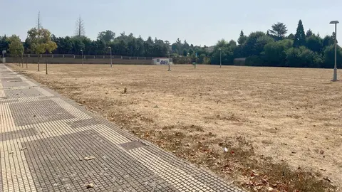 Apenas unos árboles resecos y una extensión de hierba amarillenta conforman hoy el único parque urbano del entorno de la calle Río Camba, en León capital. Situado entre algunas de las urbanizaciones más lujosas de la ciudad, el espacio, que debería ser un pulmón verde para cientos de familias, se ha convertido en un terreno baldío.