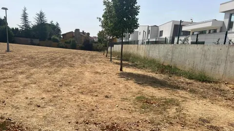 Apenas unos árboles resecos y una extensión de hierba amarillenta conforman hoy el único parque urbano del entorno de la calle Río Camba, en León capital. Situado entre algunas de las urbanizaciones más lujosas de la ciudad, el espacio, que debería ser un pulmón verde para cientos de familias, se ha convertido en un terreno baldío.