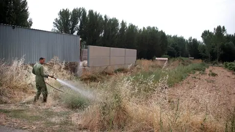 El frente de llamas acercándose a la localidad leonesa de Herreros de Jamuz.