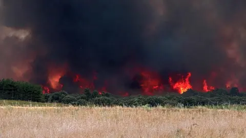 Herreros de Jamuz, en situación límite, en el momento de ser evacuado. Fotos: Peio García.
