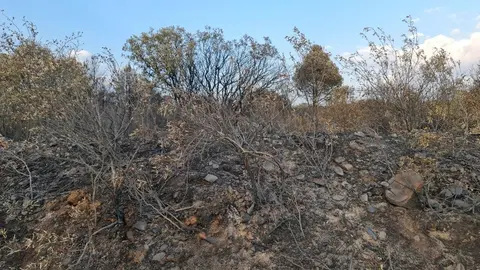 La desolación se adueña de la Valdería; Castrocalbón y San Esteban de Nogales vivieron momentos dramáticos por las llamas y el resultado fue desolador. Fotos: Heraldo de León