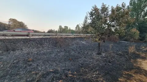 La desolación se adueña de la Valdería; Castrocalbón y San Esteban de Nogales vivieron momentos dramáticos por las llamas y el resultado fue desolador. Fotos: Heraldo de León