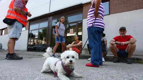 Palacios del Sil recibe a parte de los desalojados por el incendio de Salientes. Foto: César Hornija