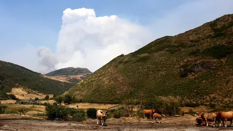 Incendio en Anllares del Sil y Orallo. La provincia de León vive un momento dramático en los incendios. Fotos: César Hornija