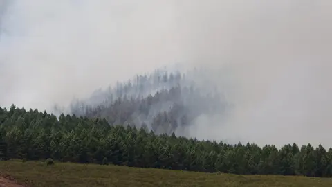 Incendio en Anllares del Sil y Orallo. La provincia de León vive un momento dramático en los incendios. Fotos: César Hornija