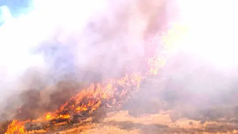 La madrugada del sábado deja nuevas evacuaciones en el norte de León mientras la provincia arde por dos frentes en los mayores incendios de su historia. Imágenes tomadas por los brigadistas de Brif Tabuyo que trabajan en los incendios.