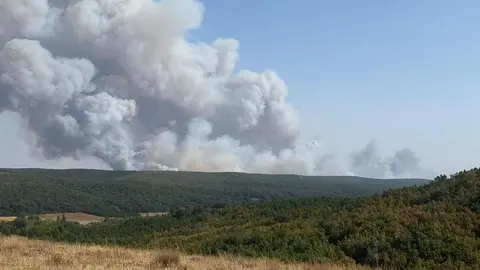 Las columnas de humo del fuego de Canalejas eran visibles desde Taranilla. Foto: JSR
