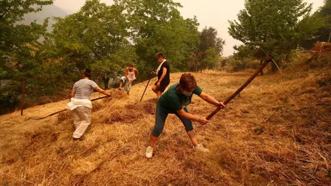 La amenaza que supone el incendio procedente de Orense que alcanzó territorio leonés en el municipio de Oencia y declarado nivel 2 del Índice de Gravedad Potencial (IGR) mantiene en alerta permanente a los vecinos de distintas localidades. Los de Lusio reclamaron hoy “tanto a la Junta como al Gobierno central, que se pongan las pilas” mientras realizaban cortafuegos en el pueblo. Fotos: César Hornija