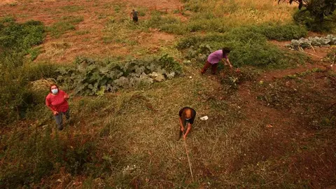 La amenaza que supone el incendio procedente de Orense que alcanzó territorio leonés en el municipio de Oencia y declarado nivel 2 del Índice de Gravedad Potencial (IGR) mantiene en alerta permanente a los vecinos de distintas localidades. Los de Lusio reclamaron hoy “tanto a la Junta como al Gobierno central, que se pongan las pilas” mientras realizaban cortafuegos en el pueblo. Fotos: César Hornija