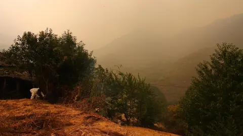 La amenaza que supone el incendio procedente de Orense que alcanzó territorio leonés en el municipio de Oencia y declarado nivel 2 del Índice de Gravedad Potencial (IGR) mantiene en alerta permanente a los vecinos de distintas localidades. Los de Lusio reclamaron hoy “tanto a la Junta como al Gobierno central, que se pongan las pilas” mientras realizaban cortafuegos en el pueblo. Fotos: César Hornija