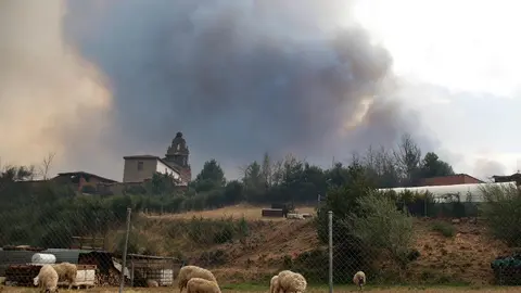 El incendio de Almanza amenaza varias pedanías. Foto: Peio García