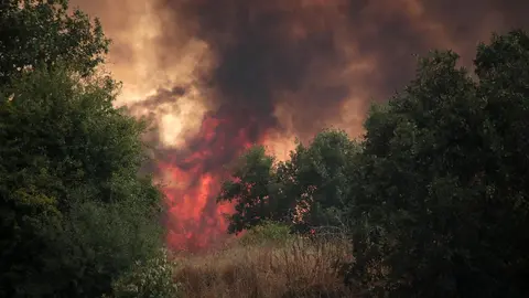 El incendio de Almanza amenaza varias pedanías. Foto: Peio García