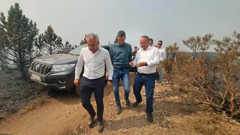 Pedro Sánchez, este domingo visitando los efectos del fuego de Orallo en León. Foto: Diputación de León