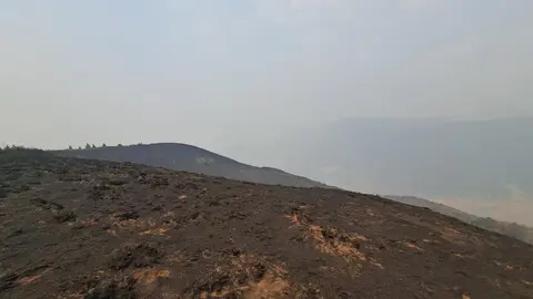 Pedro Sánchez, este domingo visitando los efectos del fuego de Orallo en León. Foto: Diputación de León