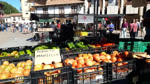 Celebración de la XXV edición de la Feria del Tomate de Mansilla de las Mulas.