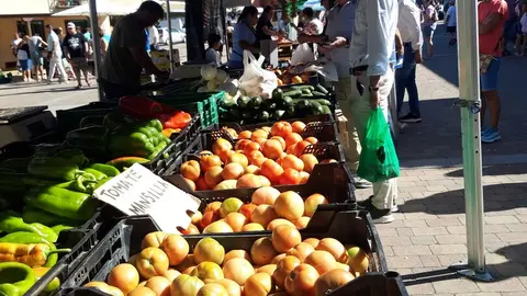 Celebración de la XXV edición de la Feria del Tomate de Mansilla de las Mulas.