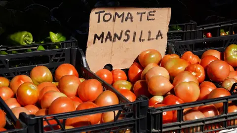 Celebración de la XXV edición de la Feria del Tomate de Mansilla de las Mulas. Foto: Campillo.