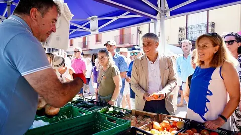 Celebración de la XXV edición de la Feria del Tomate de Mansilla de las Mulas. Foto: Campillo.