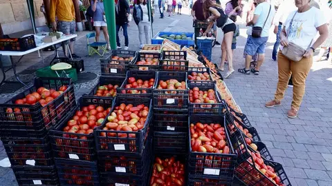 Celebración de la XXV edición de la Feria del Tomate de Mansilla de las Mulas. Foto: Campillo.