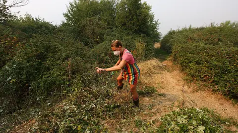 Vecinos del Acebo de San Miguel (León), realizan desbroces alrededor del pueblo ante la posible llegada del fuego. Foto: César Hornija.