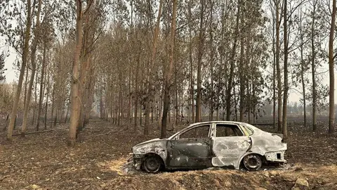 El secretario general del PSOE en León, Javier Alfonso Cendón, visitó este martes varias localidades afectadas por los incendios en la comarca de La Valdería. Acompañado por el socialista Carlos Martínez, se reunió con el alcalde de Castrocalbón y con las alcaldesas de Santa Elena de Jamuz y San Esteban de Nogales, tres municipios “duramente golpeados por los incendios”.