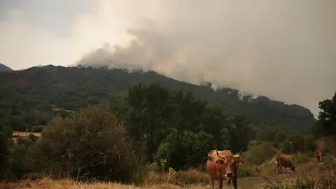 El incendio de Fasgar amenaza a las poblaciones de Vegapujín, Barrio de la Puente y Posada de Omaña. Foto: Peio García.