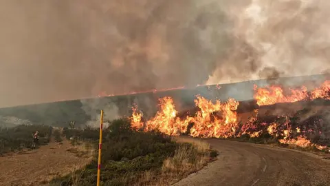 Brigadistas forestales (bomberos forestales como ellos mismos se denominan) realizan una línea de contención ante el avance de las llamas en la zona de El Bierzo. Fotos: Brif Tabuyo