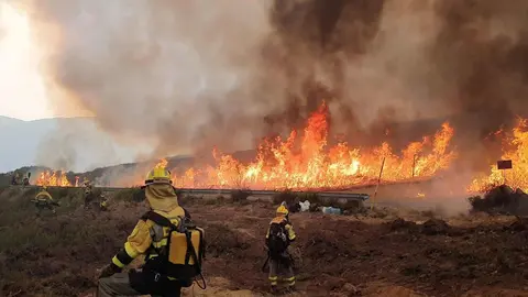 Brigadistas forestales (bomberos forestales como ellos mismos se denominan) realizan una línea de contención ante el avance de las llamas en la zona de El Bierzo. Fotos: Brif Tabuyo
