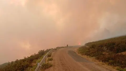 Brigadistas forestales (bomberos forestales como ellos mismos se denominan) realizan una línea de contención ante el avance de las llamas en la zona de El Bierzo. Fotos: Brif Tabuyo