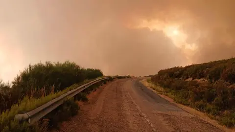 Brigadistas forestales (bomberos forestales como ellos mismos se denominan) realizan una línea de contención ante el avance de las llamas en la zona de El Bierzo. Fotos: Brif Tabuyo