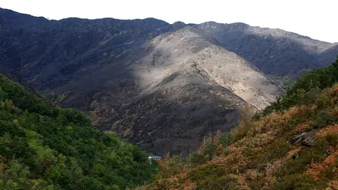 Efectos del incendio que ha afectado al municipio de Oencia. Foto: César Hornija.