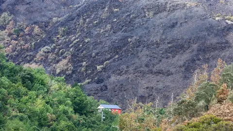 Efectos del incendio que ha afectado al municipio de Oencia. Foto: César Hornija.