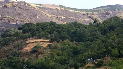 Efectos del incendio que ha afectado al municipio de Oencia. Foto: César Hornija.