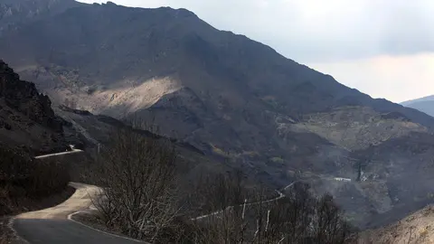 Efectos del incendio que ha afectado al municipio de Oencia. Foto: César Hornija.