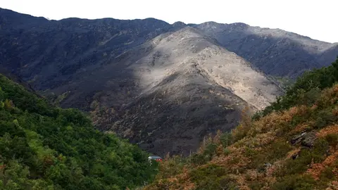 Oencia sobrevive gracias a la acción de sus vecinos mientras las llamas dejan un paisaje de dolor y destrucción en determinadas zonas; una de ellas, el cementerio