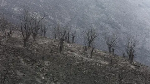 Oencia sobrevive gracias a la acción de sus vecinos mientras las llamas dejan un paisaje de dolor y destrucción en determinadas zonas; una de ellas, el cementerio