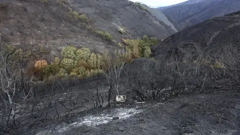 Oencia sobrevive gracias a la acción de sus vecinos mientras las llamas dejan un paisaje de dolor y destrucción en determinadas zonas; una de ellas, el cementerio