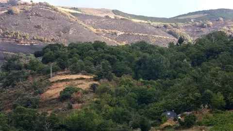 Oencia sobrevive gracias a la acción de sus vecinos mientras las llamas dejan un paisaje de dolor y destrucción en determinadas zonas; una de ellas, el cementerio