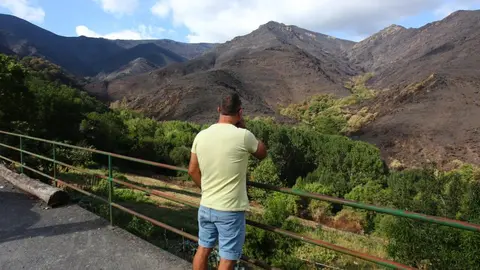 Oencia sobrevive gracias a la acción de sus vecinos mientras las llamas dejan un paisaje de dolor y destrucción en determinadas zonas; una de ellas, el cementerio