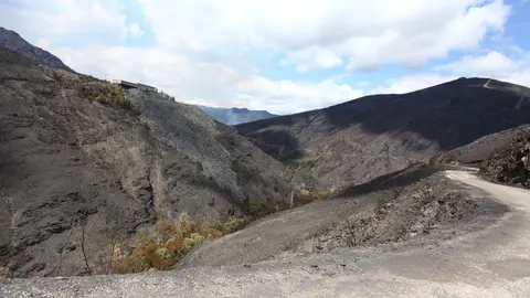 Oencia sobrevive gracias a la acción de sus vecinos mientras las llamas dejan un paisaje de dolor y destrucción en determinadas zonas; una de ellas, el cementerio
