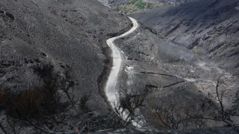 Oencia sobrevive gracias a la acción de sus vecinos mientras las llamas dejan un paisaje de dolor y destrucción en determinadas zonas; una de ellas, el cementerio