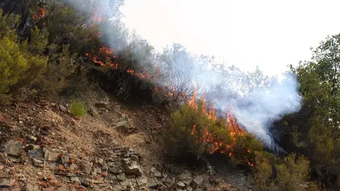Incendio en Colinas del Campo de Martín Moro Toledano perteneciente al municipio de Igüeña (León)