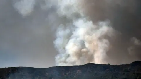 El incendio de Fasgar continúa por zonas forestales. Foto: Peio García.